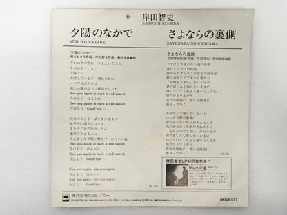 1979 In the Sunset Satoshi Kishida B: The Other Side of Goodbye Japanese record vintage